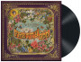 PANIC AT THE DISCO - PRETTY ODD / VINYL 