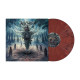 Revocation - New Gods,New Masters / Red Marbled / Vinyl 