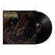 CONSUMPTION - Necrotic Lust / Vinyl 