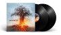 Amorphis - Skyforger / 2 LP 