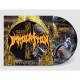Immolation - Here In After / Picture Vinyl / Cena platí pouze když k titulu zakoupíte jakékoliv zboží ze skladových zásob