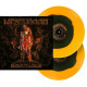 MESHUGGAH - IMMUTABLE / SWIRL VINYL / 2 LP / Cena platí pouze když k titulu zakoupíte jakékoliv zboží ze skladových zásob
