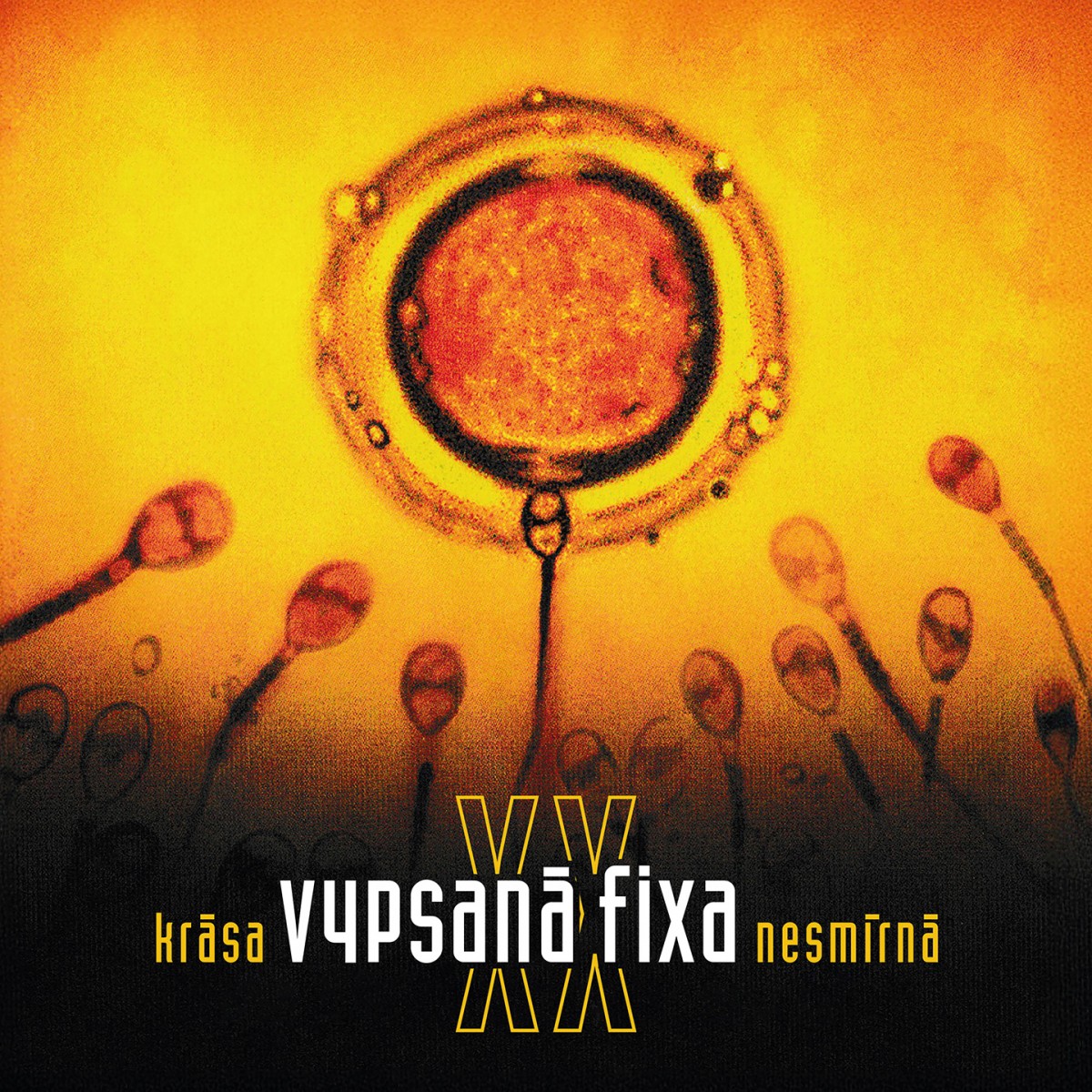 Vypsaná Fixa - Krása nesmírná XX / Vinyl
