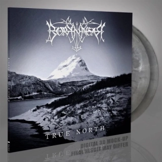 BORKNAGAR - True North / 2 LP / Coloured Vinyl / Ltd. 200 
