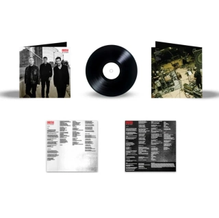 DOGSTAR - All In Now / Vinyl