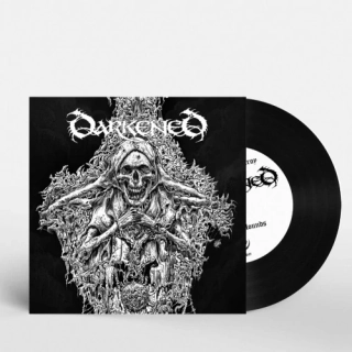 DARKENED - Lord Of Sickness And Bile / 7" vinyl