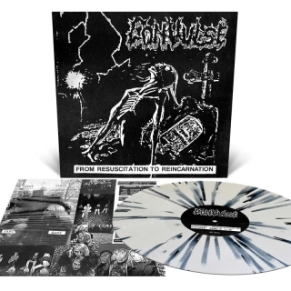CONVULSE - From Resuscitation to Reincarnation / Coloured Vinyl