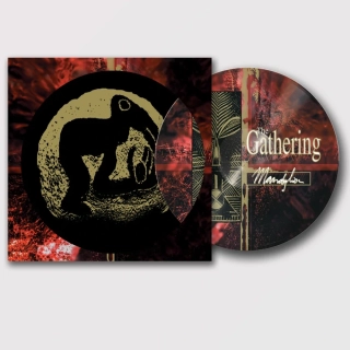 GATHERING THE– Mandylion / PICTURE VINYL / Ltd. 500