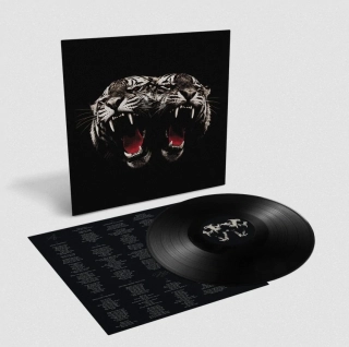 ROYAL BLOOD - Dead Company / Vinyl