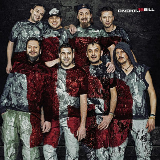 DIVOKEJ BILL - 15 / VINYL