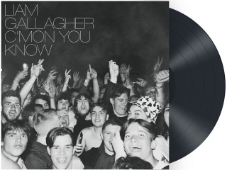 GALLAGHER LIAM - C'MON YOU KNOW / VINYL