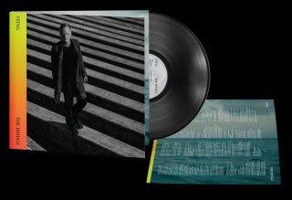 STING - BRIDGE / VINYL