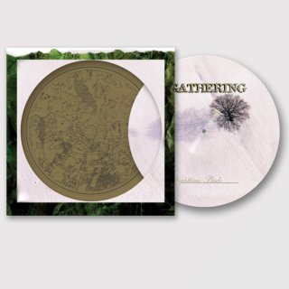 GATHERING THE– NIGHTTIME BIRDS / PICTURE VINYL / LTD. 500 KS.