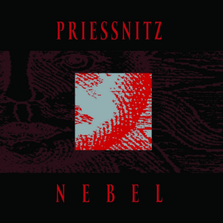 PRIESSNITZ - NEBEL / VINYL
