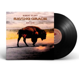 PLANT ROBERT - SAVING GRACE / VINYL